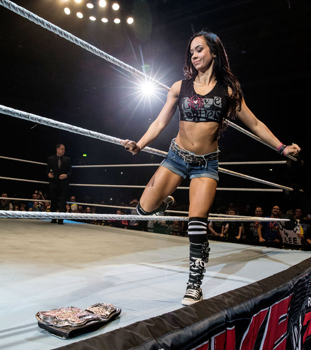 Brie-Bella-vs-AJ-Lee